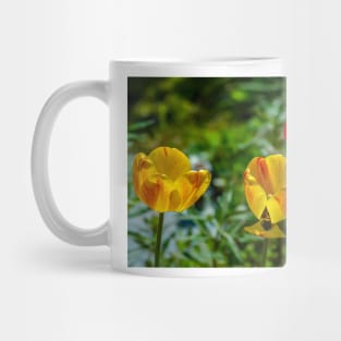 Springtime In Alaska Mug